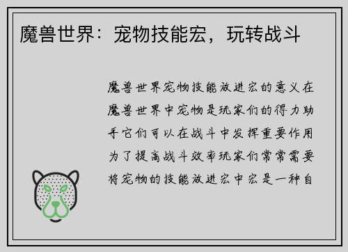 魔兽世界：宠物技能宏，玩转战斗